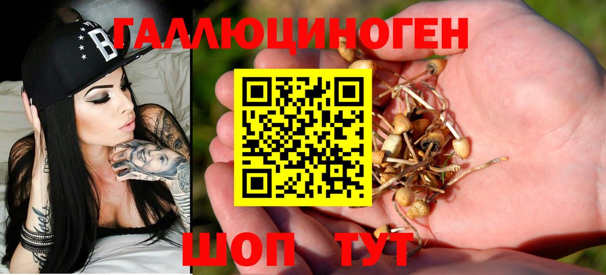 Галлюциногенные грибы мицелий Пугачёв